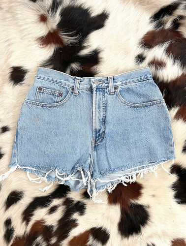 Vintage 90s Cheeky High-Waisted Denim Cut-Off Shorts -- Size 28